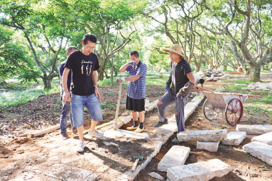     ?高橋村生態(tài)古欖園是13個駐柏塘鎮(zhèn)幫鎮(zhèn)扶村實施項目之一。這是工人在古欖園鋪設石板路。